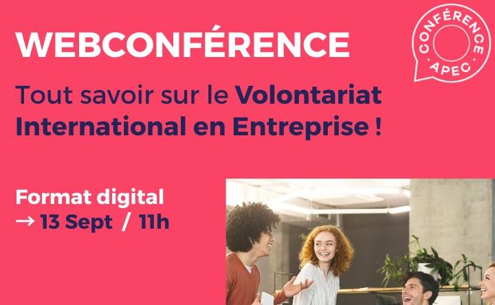 Webinaire Tout Savoir Sur Le VIE Volontariat International En